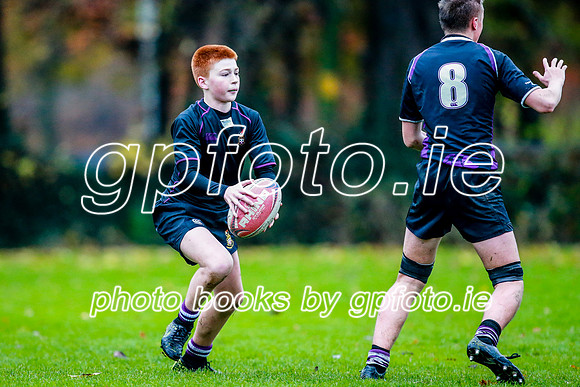 23-11-2019-CGJ26345.JPG