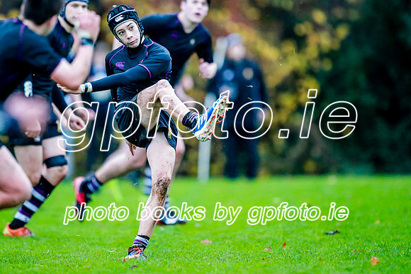 23-11-2019-CGJ26464.JPG