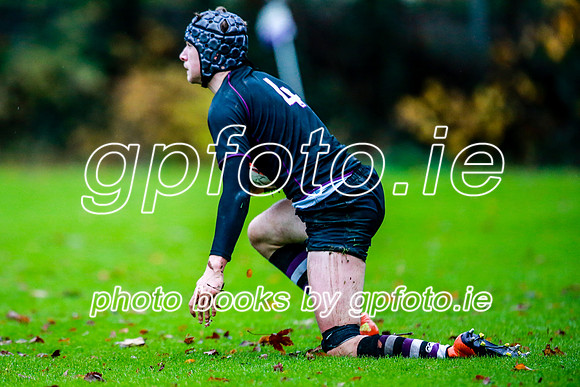 23-11-2019-CGJ26607.JPG