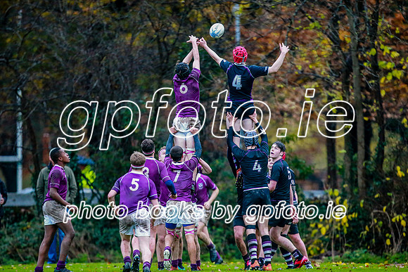 23-11-2019-CGJ26794.JPG