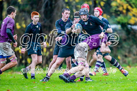 23-11-2019-CGJ26812.JPG