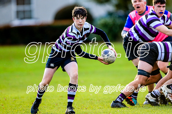 24-11-2021-CGJ23346