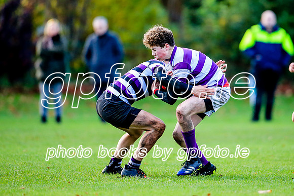 24-11-2021-CGJ23528