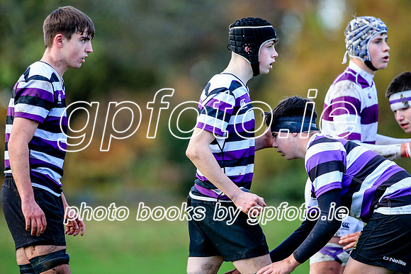 24-11-2021-CGJ23607