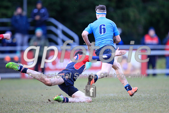 20150205-_P155010