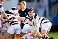 Belvedere v Newbridge
