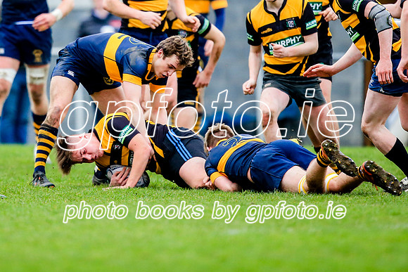 08-01-2020-CGJ21161