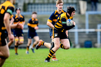 Patrician College Newbridge SCT