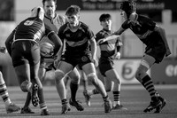 15-01-2020SWYL8838JPG