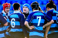 Newpark Comprehensive SCT