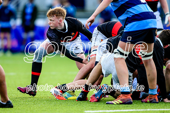 14-01-2020SWYL6731JPG