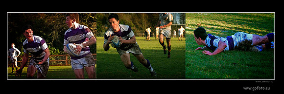 Trio Vignette