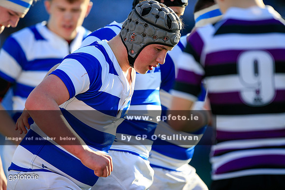 gpfoto.ie