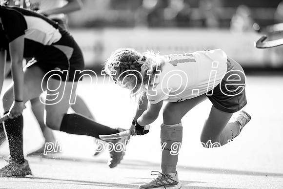 22-09-2019-CGJ21776.JPG