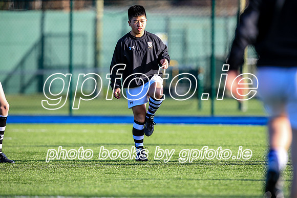 03-02-2020-SWYL3020.JPG