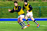 10-02-2020-SWYL0595.JPG