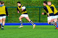 10-02-2020-SWYL0569.JPG