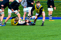 10-02-2020-SWYL0571.JPG