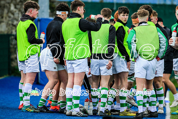 11-02-2020-CGJ20164.JPG