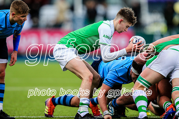 11-02-2020-SWYL3256.JPG
