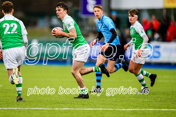 11-02-2020-SWYL3603.JPG