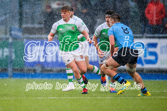 11-02-2020-SWYL3809.JPG
