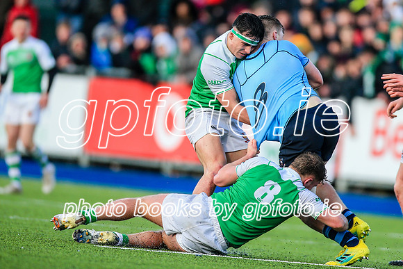 11-02-2020-SWYL4020.JPG