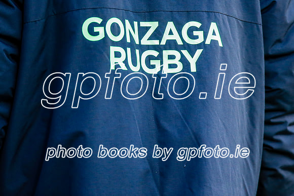 11-02-2020-SWYL4085.JPG