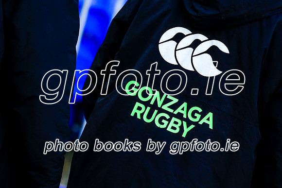 11-02-2020-SWYL4093.JPG