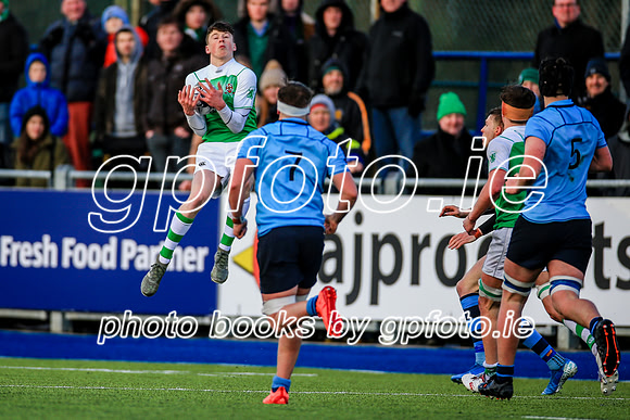 11-02-2020-SWYL4123.JPG