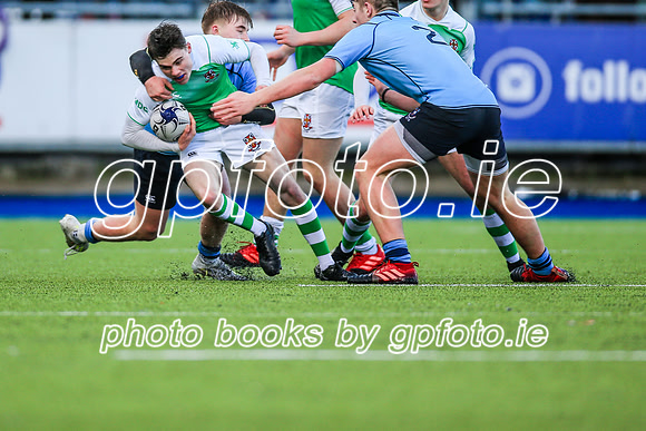 11-02-2020-SWYL4153.JPG