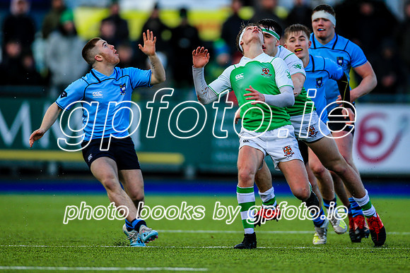 11-02-2020-SWYL4225.JPG