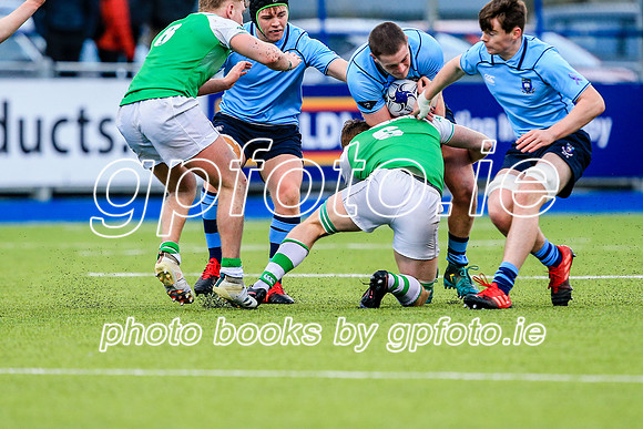 11-02-2020-CGJ21215.JPG