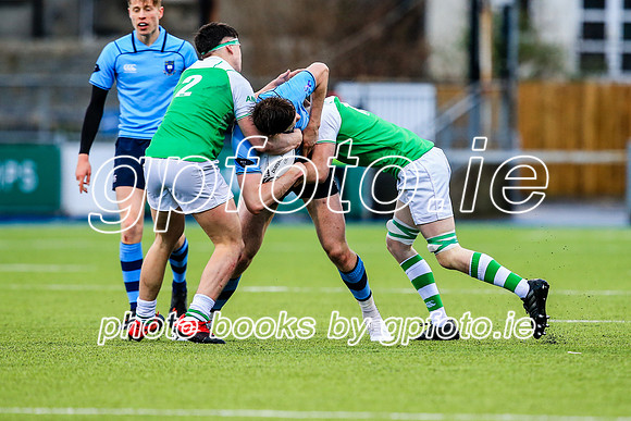 11-02-2020-CGJ21230.JPG