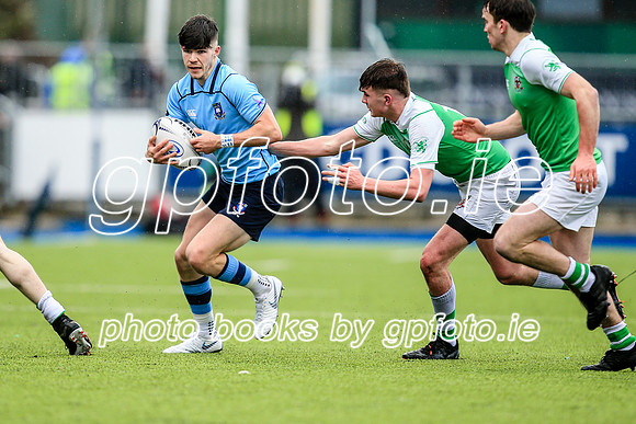 11-02-2020-SWYL3172.JPG