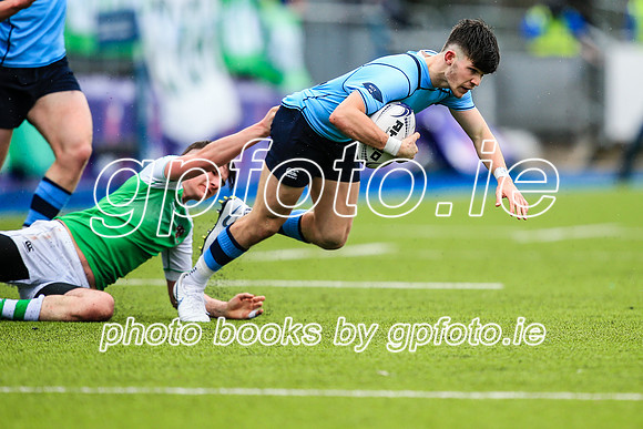 11-02-2020-SWYL3177.JPG