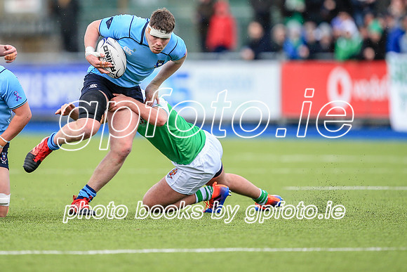 11-02-2020-SWYL3308.JPG