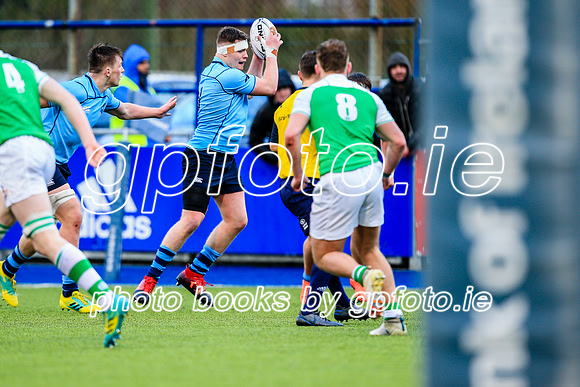 11-02-2020-SWYL3436.JPG