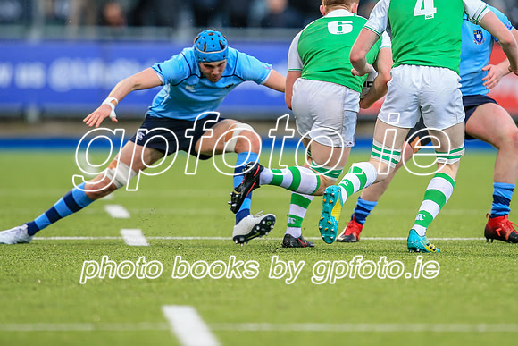 11-02-2020-SWYL3514.JPG