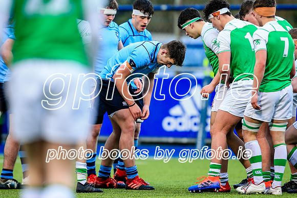 11-02-2020-SWYL3446.JPG
