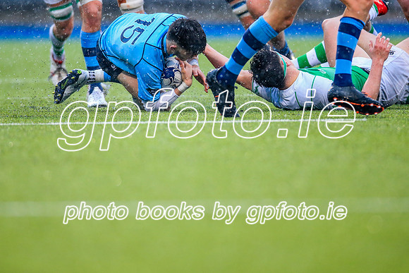 11-02-2020-SWYL3840.JPG