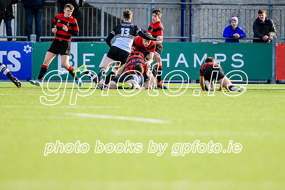 12-02-2020-CGJ21564.JPG