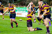 06-02-2020-DS1E1898.JPG