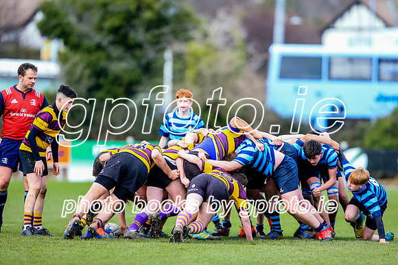 06-02-2020-IMGL3574.JPG