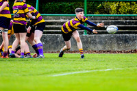 CBS Wexford JCT