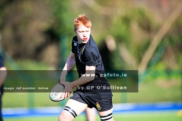 gpfoto.ie