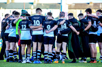 Newbridge SCT