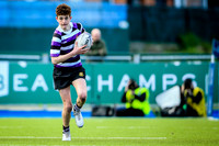 Terenure V Newbridge JCT