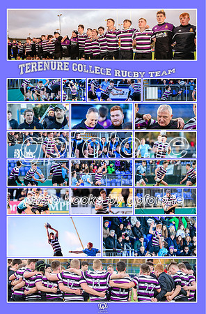 Terenure College Rugby Team
