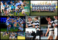 collage